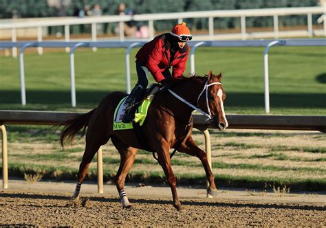 Kentucky Derby 2023: Final Results, Standings, Payouts and Replay.